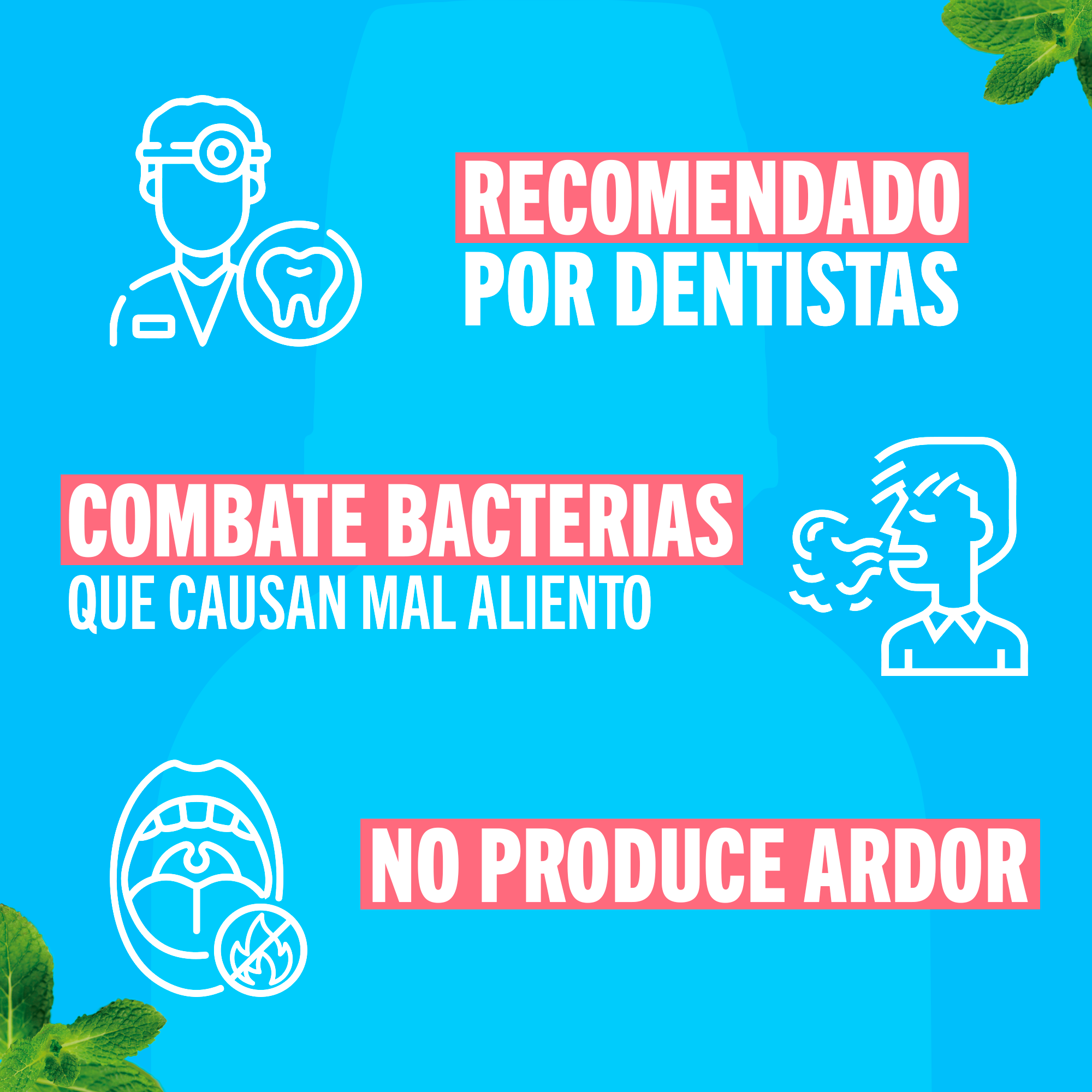 TheraBreath Enjuague Bucal Icy Mint 16 oz