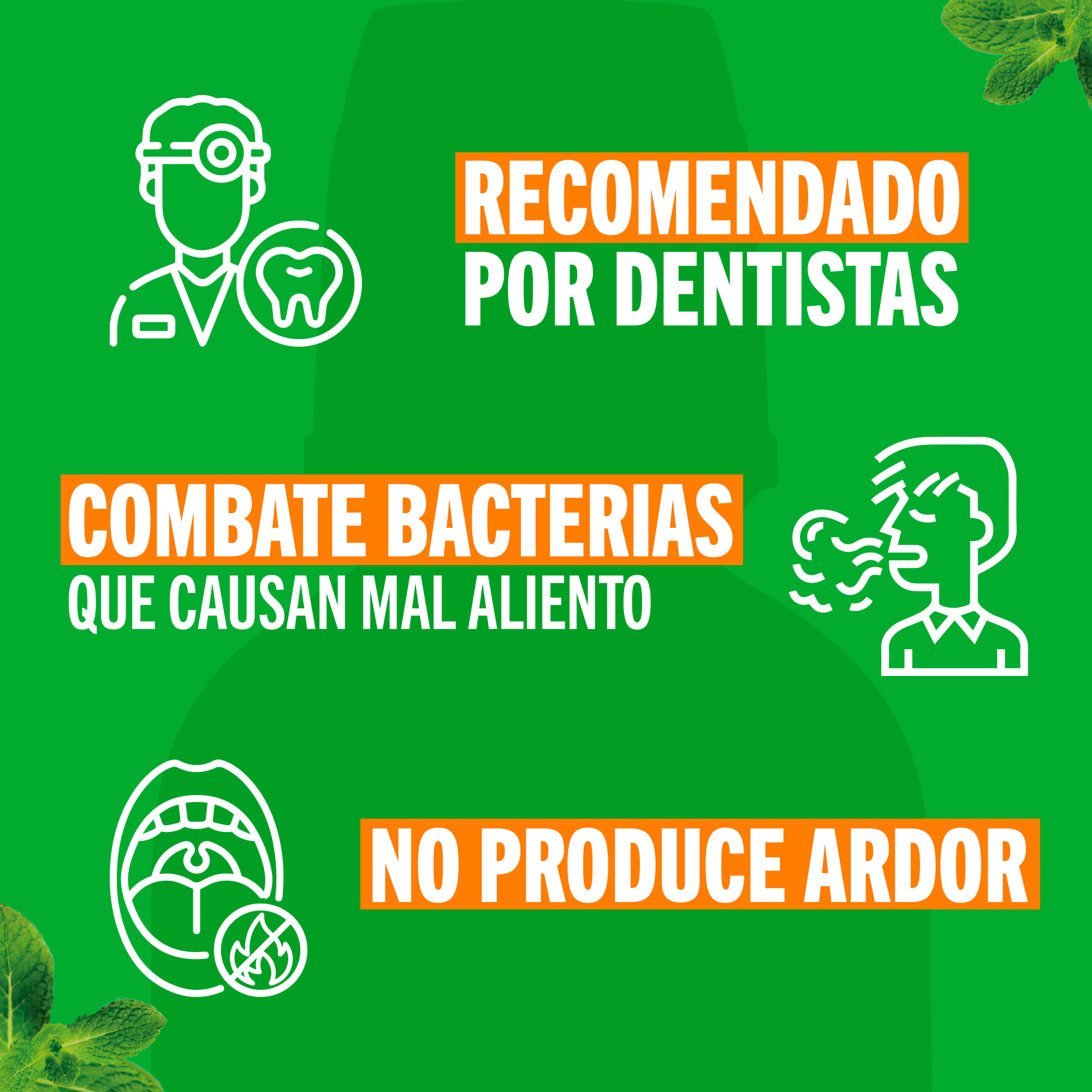 TheraBreath Enjuague Bucal Mild Mint 16 oz