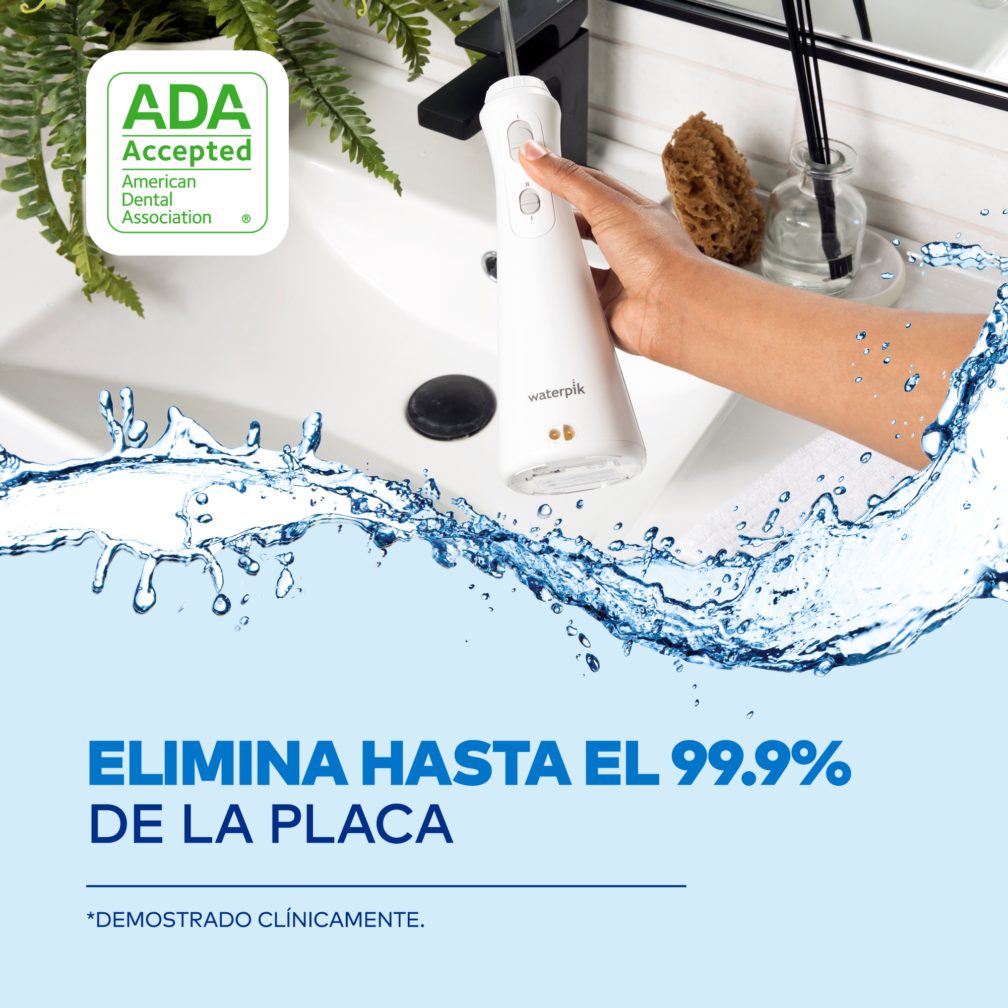 Waterpik WP-490 CORDLESS PLUS