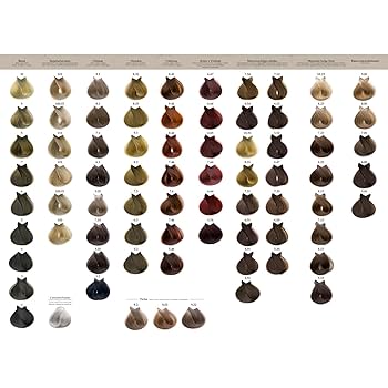 Issue Coloración Kit Eco Keratina N°6.1 470g